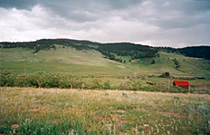 Lands east of main road